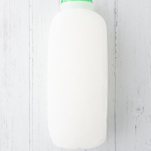 Agua de Coco Artesanal - Congelada