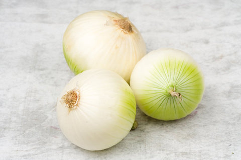 Cebolla Blanca