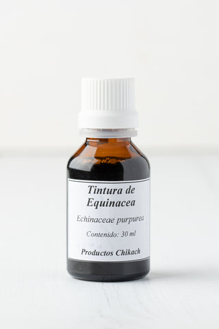 Echinacea-Tinktur