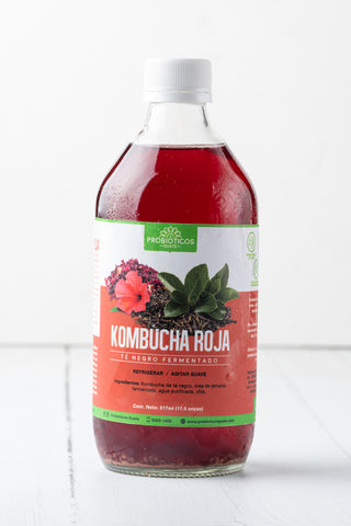 Roter Kombucha – Probiotika