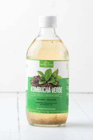 Grüner Kombucha – Probiotika