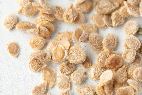 Samen - Mandarinentomate