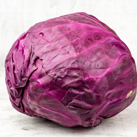 Repollo Morado