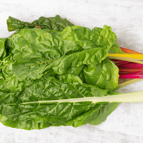 Chard of Colors