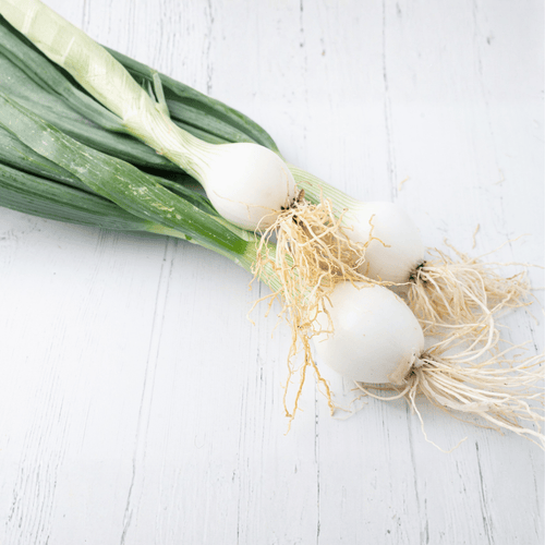 Cebolla Blanca - Con Tallo (Fresca)