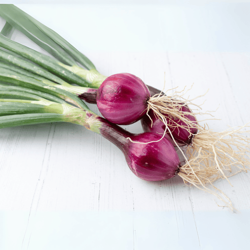 Cebolla Morada - Con Tallo (Fresca)