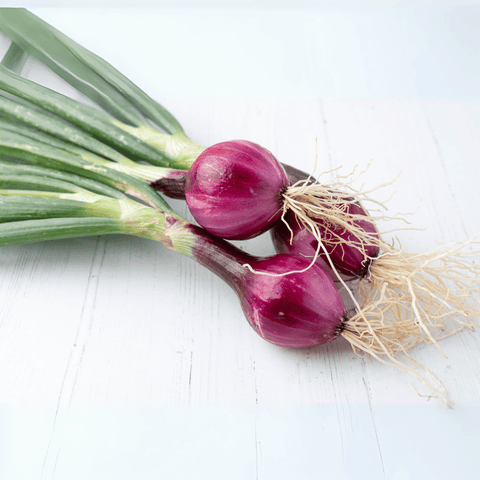 Cebolla Morada - Con Tallo (Fresca)