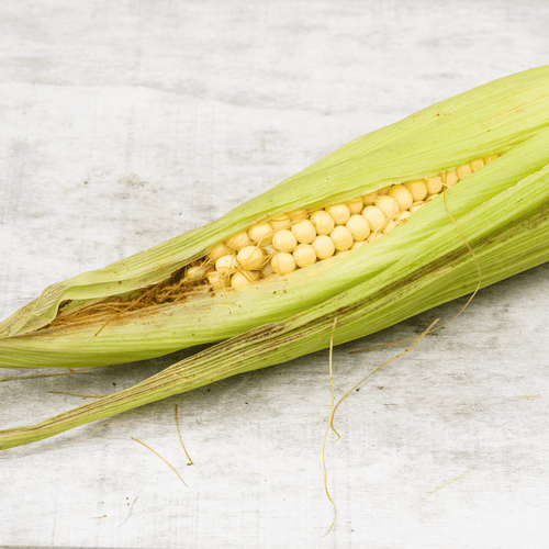 Elote Criollo