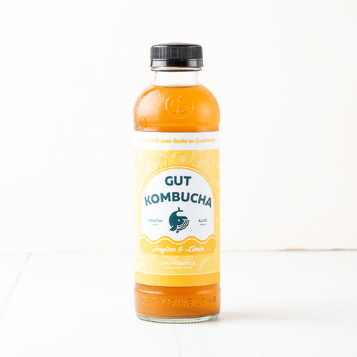 GUT Kombucha - Jengibre & Limon