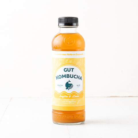 GUT Kombucha - Jengibre & Limon