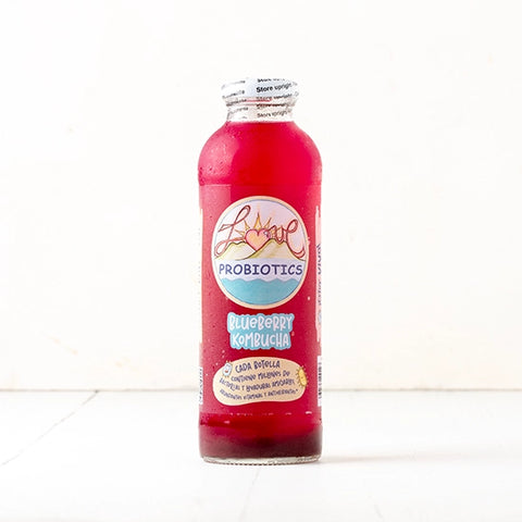 Kombucha - Arandanos & Te Blanco (Blueberry)