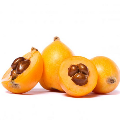 Nispero - Convencional