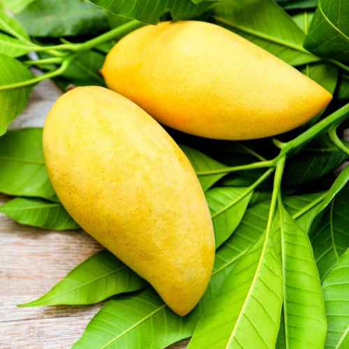 Mango Thailandes (Nam Dok Mai)