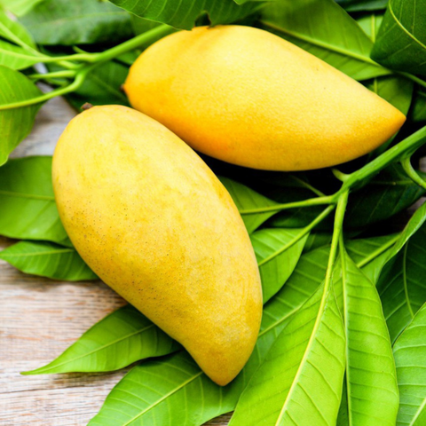 Mango Thailandes (Nam Dok Mai)