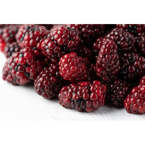Frozen Blackberry - Conventional
