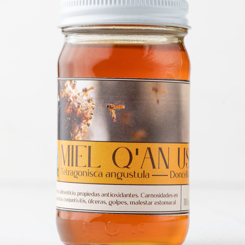 Doncellita Melipona Honey