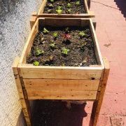 Kit de Jardineria (Unidad)