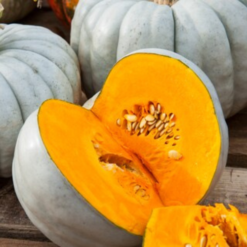 Calabaza Azul
