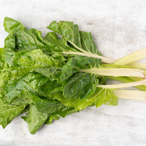 green chard