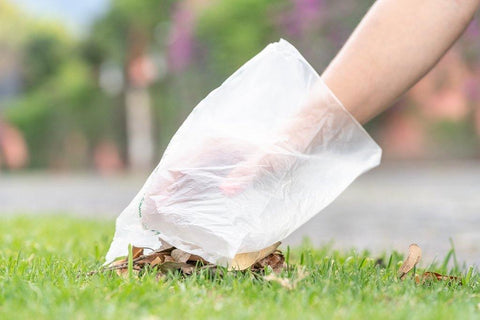 Biodegradable Bags - PoopyBags