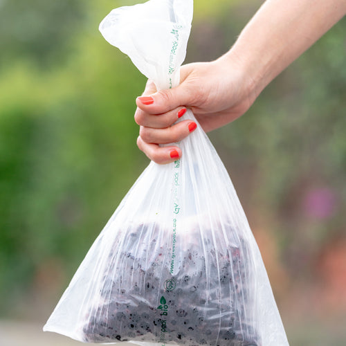Biodegradable Bags - Medium