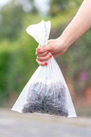 Biodegradable Bags - Medium