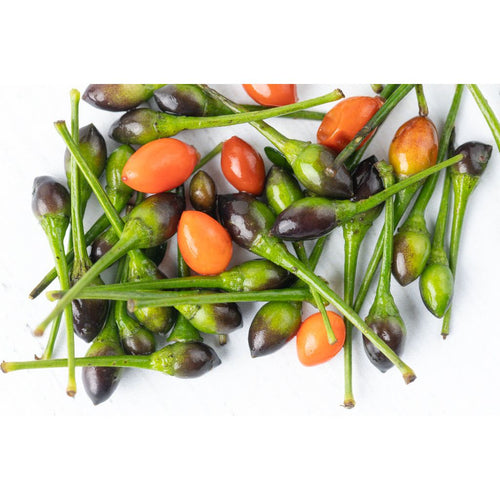 Chile Chiltepe