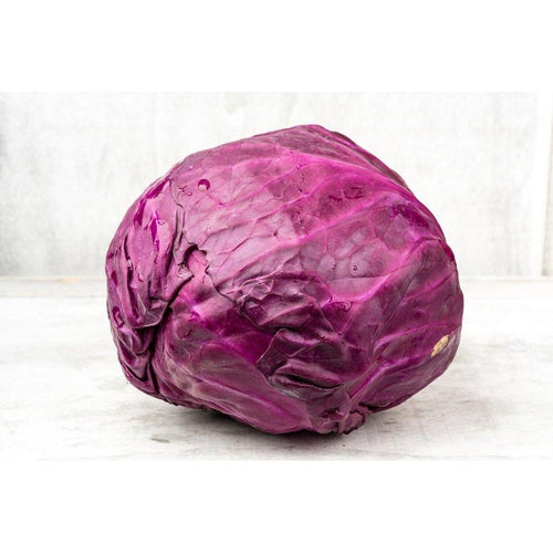 Purple Cabbage - Conventional