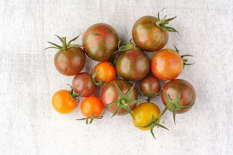 Kirschtomate