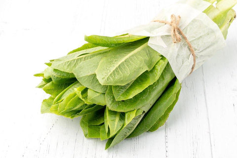 Lechuga Romana