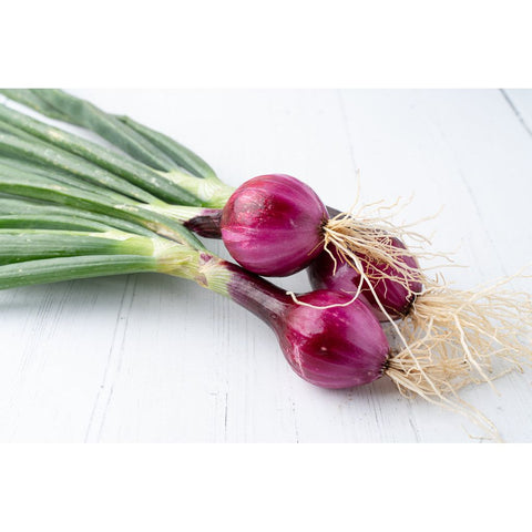 Fresh Purple Onion