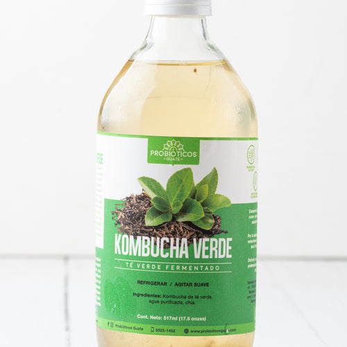 Grüner Kombucha – Probiotika