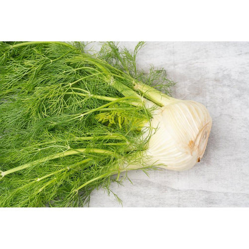 Fennel (Unit)