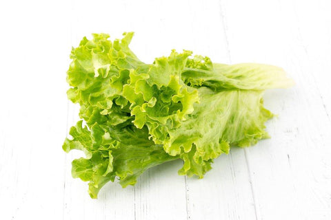 Grüner Endiviensalat