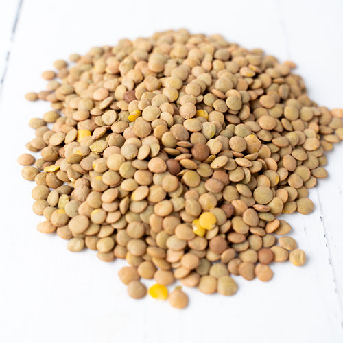 Green Lentils - Conventional