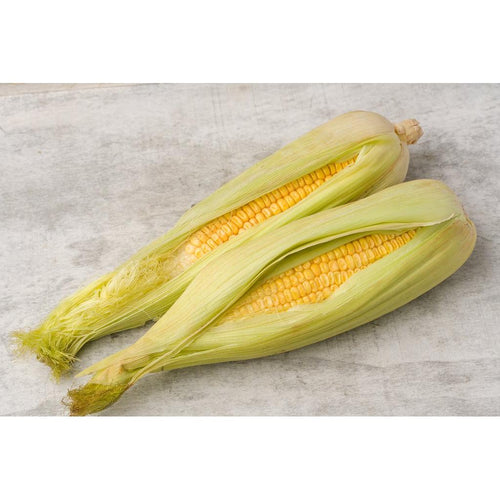 sweet corn