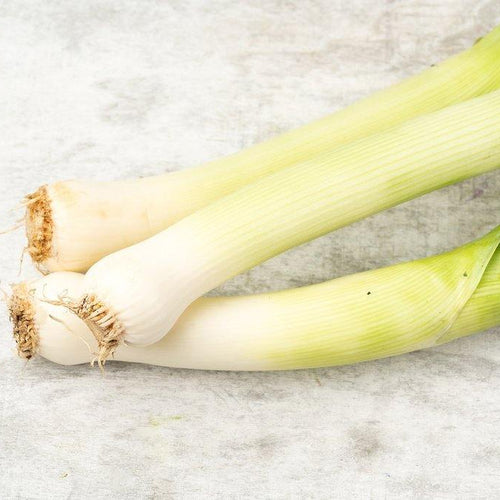 Leek