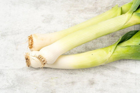 Leek