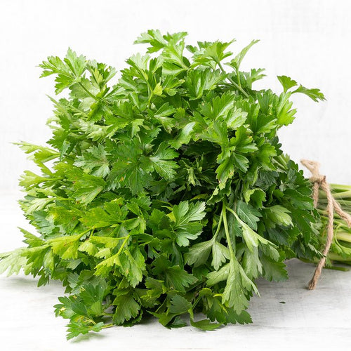 Parsley