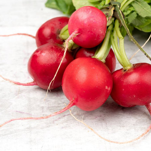 red radish