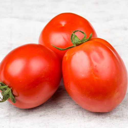 Roma tomato